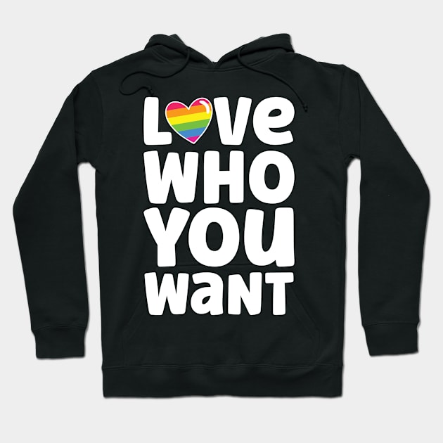 Love Who You Want Hoodie by Queers